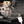 Load image into Gallery viewer, Electric Choke Carburetor for 49CC 50CC Moped Scooter PD19 TAOTAO ATM 50
