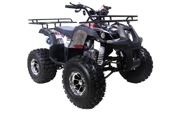 TAOTAO 125cc Utility ATV New T-FORCE Fully Auto w/Reverse Alloy Rims Tires 19"/18"  LED Headlights