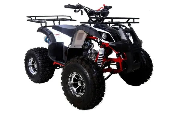 TAOTAO 125cc Utility ATV New T-FORCE Fully Auto w/Reverse Alloy Rims Tires 19"/18"  LED Headlights