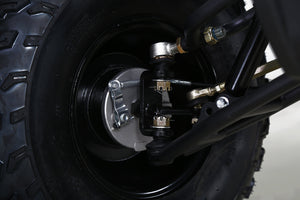 HHH Taotao BULL150 150cc Adult ATV Quads Utility Fully Automatic 4 Wheeler with Reverse
