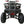 Load image into Gallery viewer, 200 ATV Quad 4 Wheeler Utility ATV Full Size ATV Adult ATVs Big Youth ATVs | Green ATV

