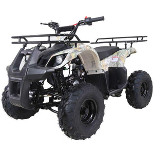 Taotao ATA-125D 110cc ATV