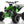 Load image into Gallery viewer, Apollo BLAZER 9 DLX 125cc ATV, 9
