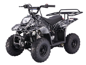 TaoTao Kids 110cc ATV Boulder B1 | kids ATV