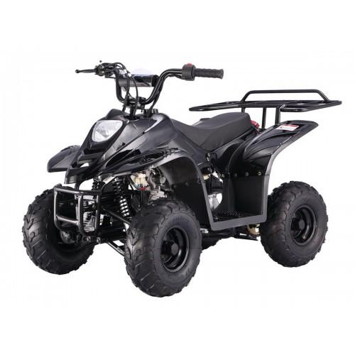 Tao tao 110 atv deals dealers near me