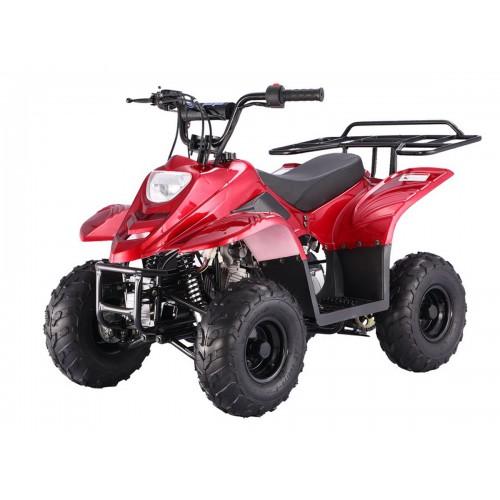 Taotao Boulder B1 ATV, 110CC ntxpowersports.com