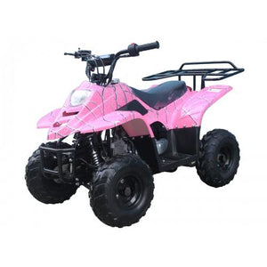 TaoTao Kids 110cc ATV Boulder B1 ntxpowersports.com