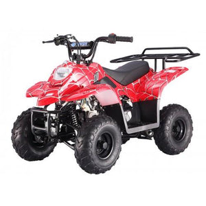 TaoTao Kids 110cc ATV Boulder B1 ntxpowersports.com