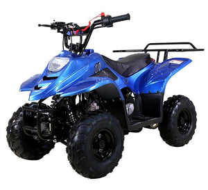 TaoTao Kids 110cc ATV Boulder B1 | Automatic Transmission