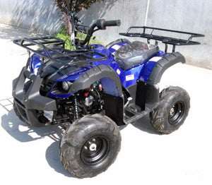 RIDER-7 125cc ATV  4 Wheeler Utility Quad Single Cylinder 4 Stroke