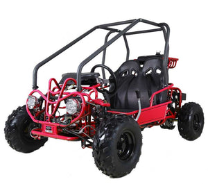 aotao GK110 110cc Go Kart