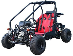 aotao GK110 110cc Go Kart