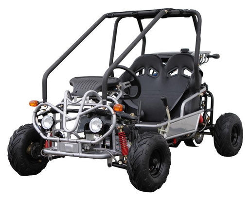 125cc Automatic Go-Kart Mini-Raptor With Reverse