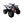Load image into Gallery viewer, Taotao T-Force 125cc ATV Mid Size ATV ntxpowersports.com

