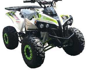PRO Max 125CC ATV, FULL-AUTOMATIC WITH REVERSE-(C.A.R.B approved)