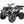 Load image into Gallery viewer, Taotao RHINO 250cc Adult ATV Air Cooled, 4-Stroke
