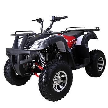 TaoTao BULL 200 169CC, Utility ATV Air Cooled, 4-Stroke, 1-Cylinder, Automatic