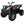 Load image into Gallery viewer, TaoTao BULL 200 169CC, Air Cooled, 4-Stroke, 1-Cylinder, Automatic
