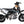 Load image into Gallery viewer, TaoTao DB20 107CC, Kids Pit Dirt Bike Free 3 Months Parts Warranty Free Shipping
