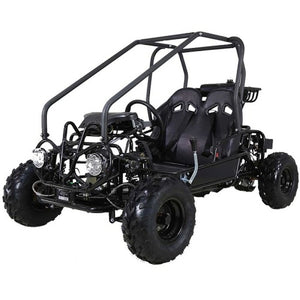 aotao GK110 110cc Go Kart