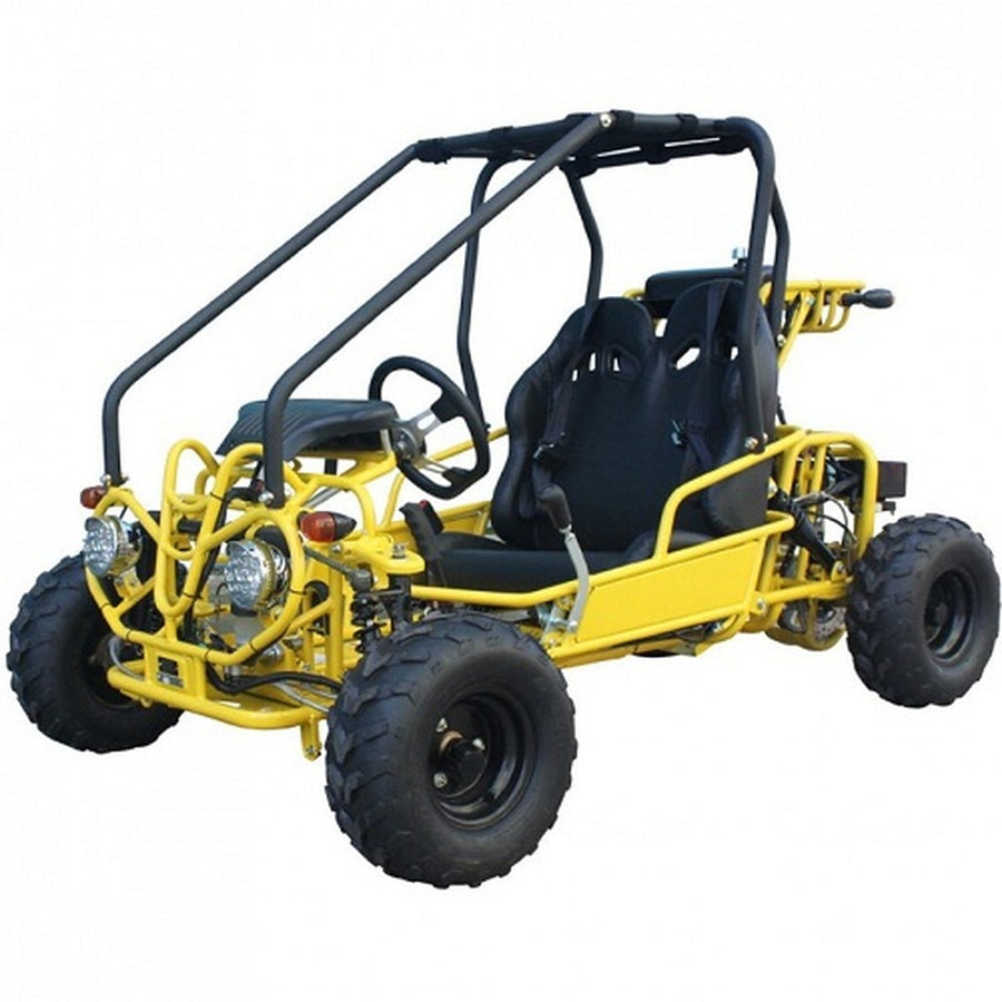 Taotao GK110 110cc Air Cooled, 4-Stroke, 1-Cylinder, Automatic with Reverse,Youth Go Kart,