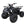 Load image into Gallery viewer, TaoTao T-FORCE 110cc ATV ntxpowersports.com
