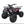 Load image into Gallery viewer, TaoTao T-FORCE 110cc ATV Mid Size Fully Automatic
