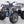 Load image into Gallery viewer, T-FORCE PLATINUM 120cc ATV Taotao ntxpowersports.com
