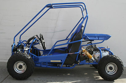 125cc Go Karts Buggy Vitacci Mini Raptor Go Kart 4 Stroke