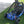 Load image into Gallery viewer, Rps TK110-GK2 110cc Go Kart 4-stroke,Single Cylinder-Blue
